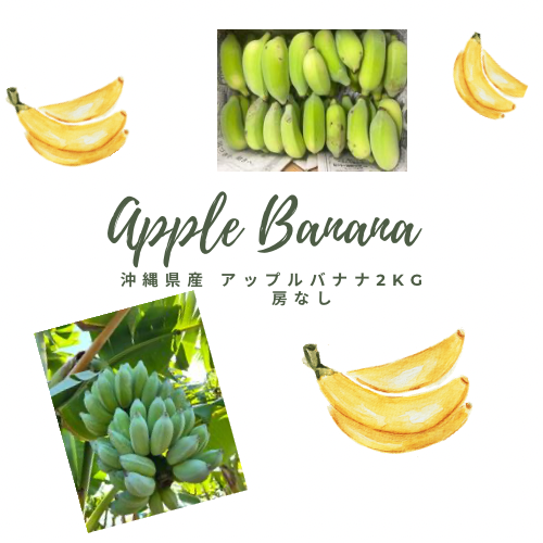 苫小牧バナナ】Apple/アップル MT0A2J/A SIMフリー iPhoneXR 64GB