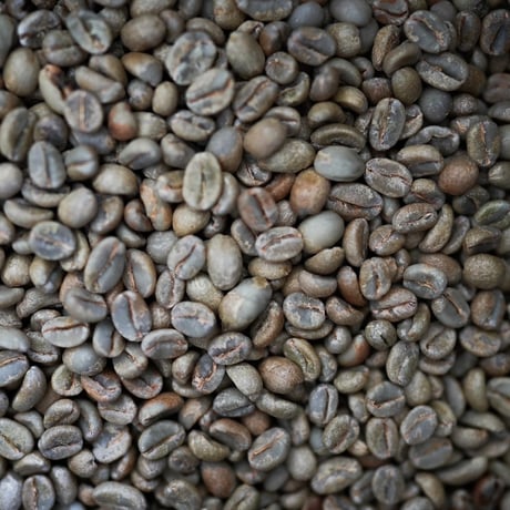 Honduras Best Parainema 4th Nueva Luz 100g/200g