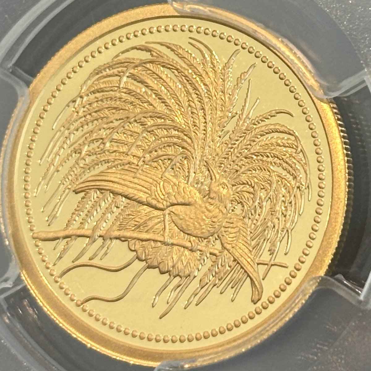 限定400枚】2020年 パプアニューギニア 100キナ金貨 PR70DCAM 極楽鳥 |