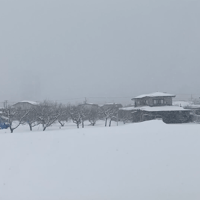 雪の車窓