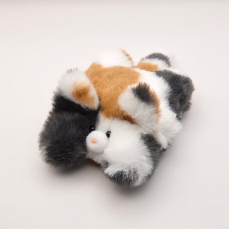 のんびりふわふわ猫