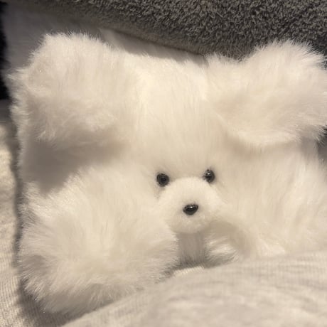 白い風になるふわふわ犬