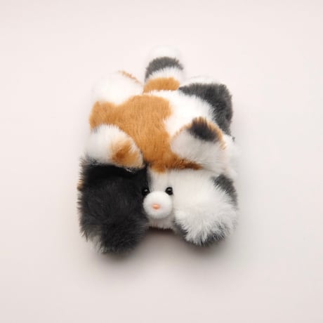 のんびりふわふわ猫