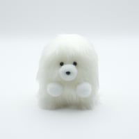ふわふわくま ホワイト | 概念STORE