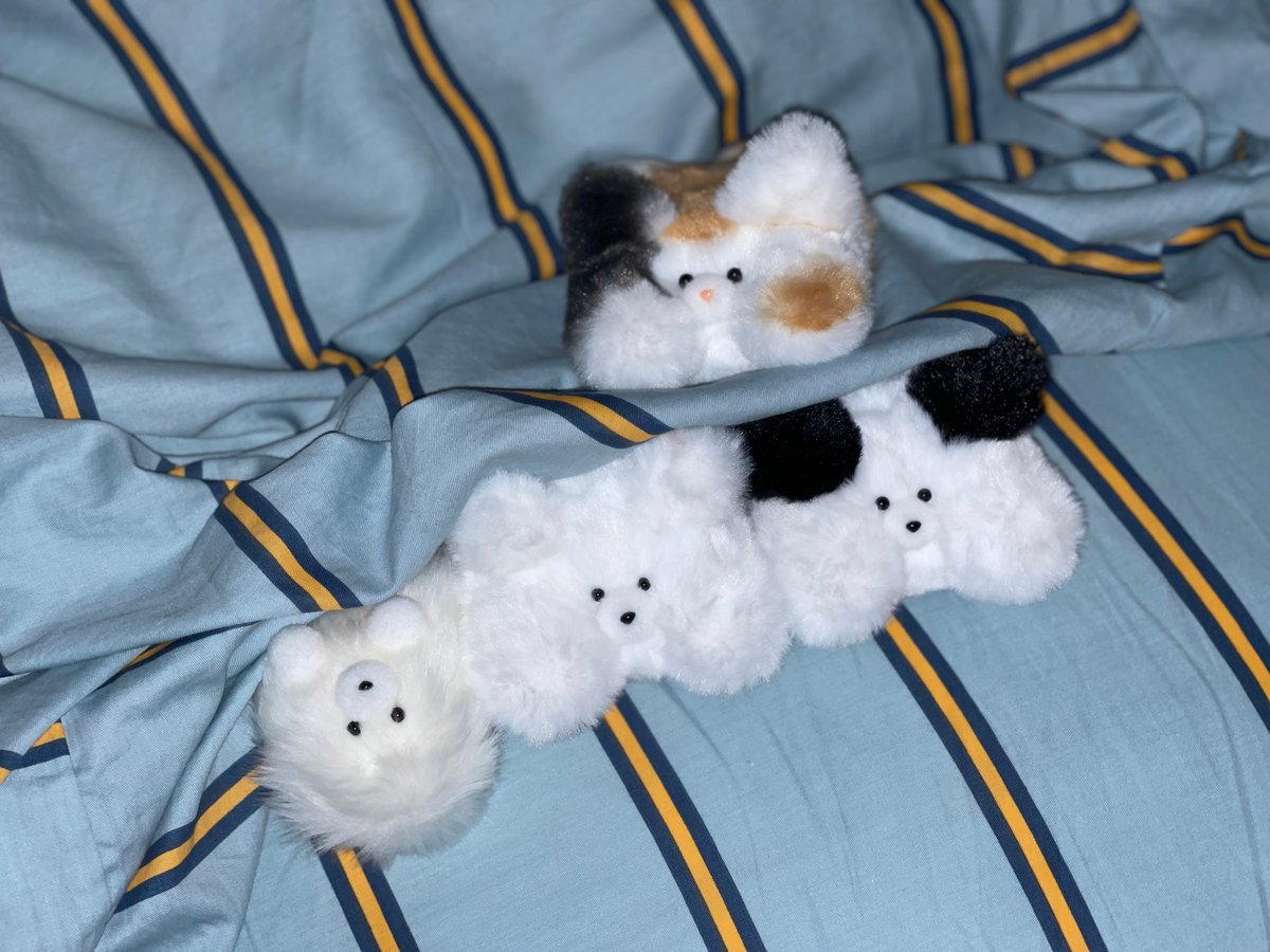 白い風になるふわふわ犬 | 概念STORE