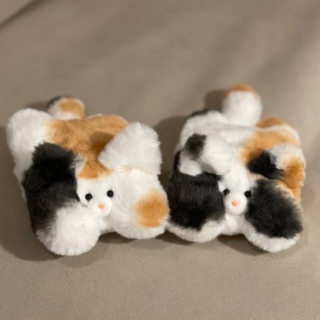 のんびりふわふわ猫