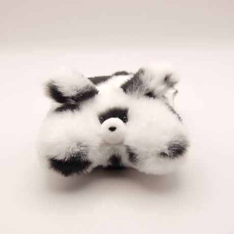 のんびりふわふわダルメシアン