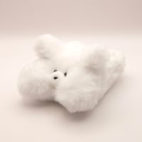白い風になるふわふわ犬