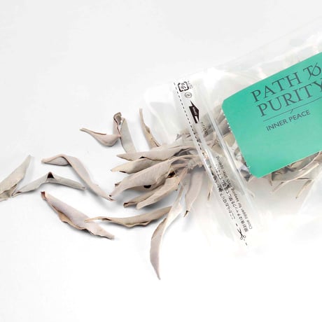 WHITE SAGE