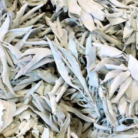 WHITE SAGE  JAR