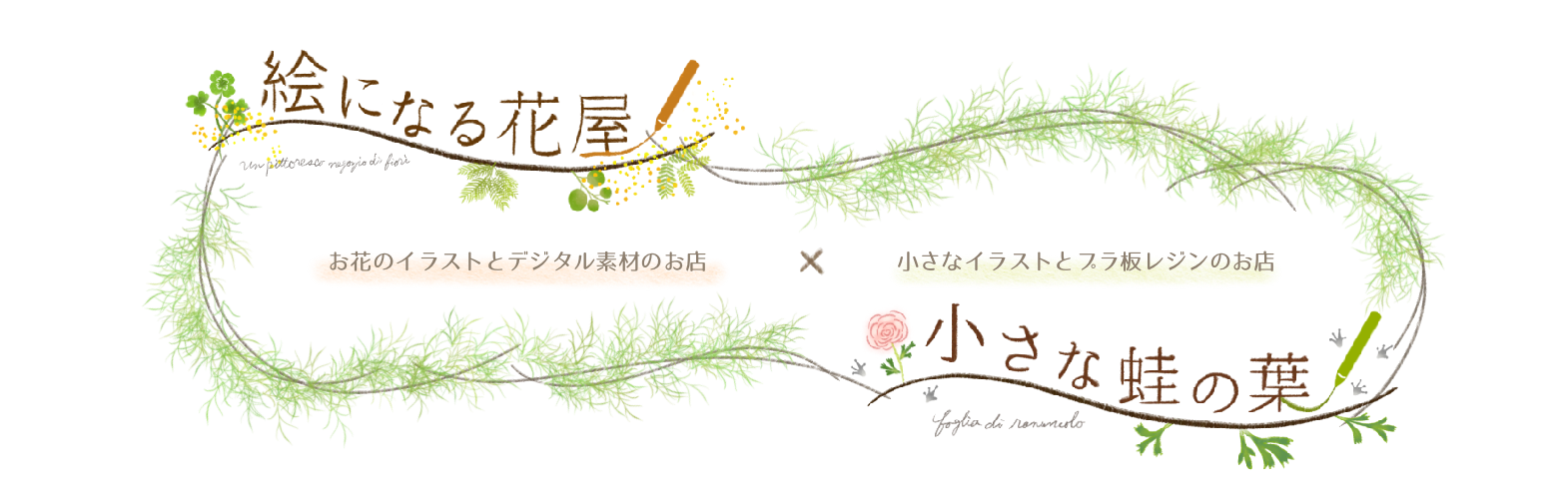 絵になる花屋 / 小さな蛙の葉