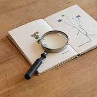 フランス 古い虫眼鏡 A