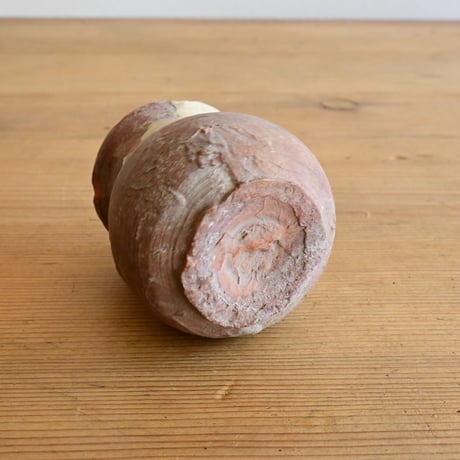 France Antique Small water jar  / フランス アンティーク 南仏の小さなポット(水甕) A