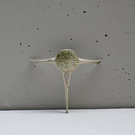 イルカの骨のオブジェ | STORES