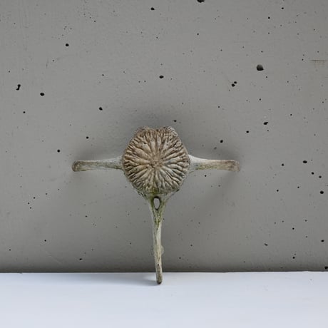 France Old Dolphin Bone Objet  / フランス 古いイルカの骨のオブジェ G