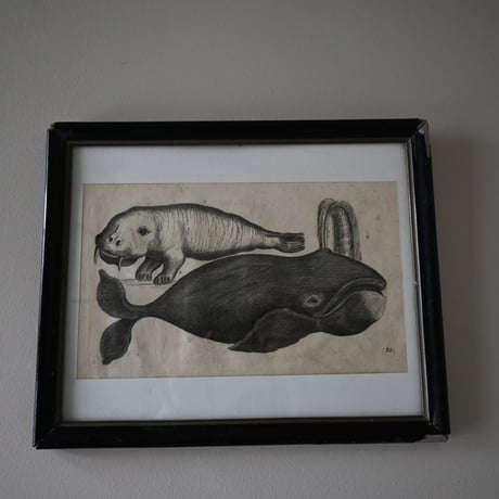 France Baleine Print / フランス クジラとセイウチの銅版画