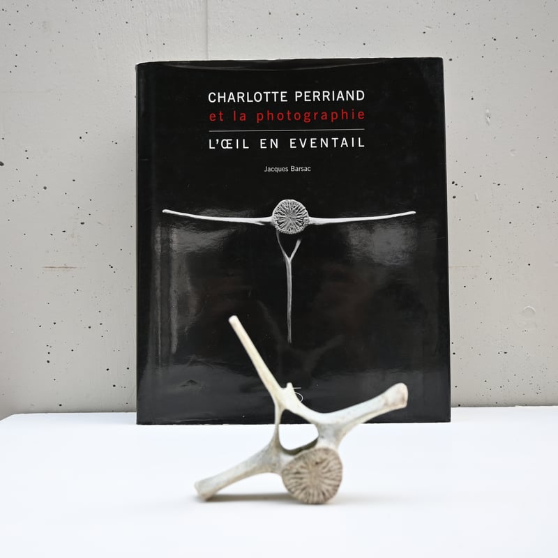 France Old Dolphin Bone Objet / フランス 古いイルカの骨のオ