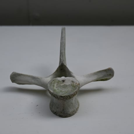 France Old Dolphin Bone Objet  / フランス 古いイルカの骨のオブジェ C