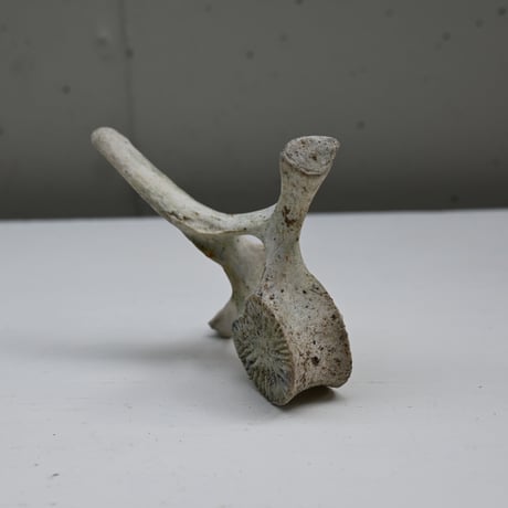 France Old Dolphin Bone Objet  / フランス 古いイルカの骨のオブジェ D