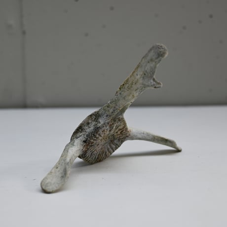 France Old Dolphin Bone Objet  / フランス 古いイルカの骨のオブジェ F