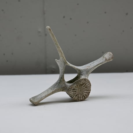 イルカの骨のオブジェ | STORES