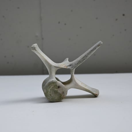 France Old Dolphin Bone Objet  / フランス 古いイルカの骨のオブジェ C
