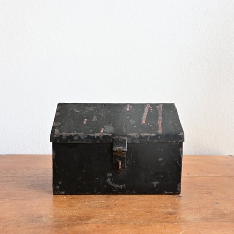 France Antique Iron Box  / フランス アンティーク 鉄の家のボックス