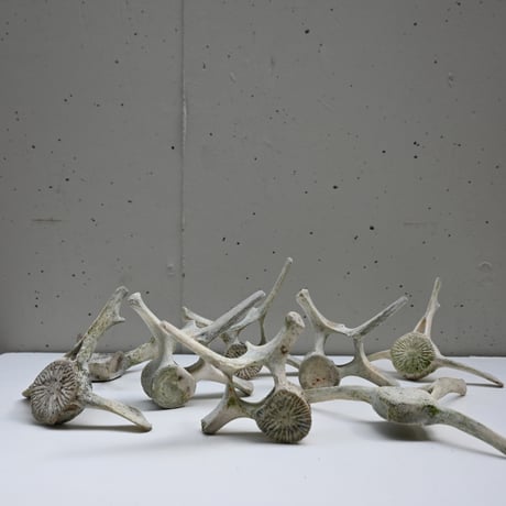 France Old Dolphin Bone Objet  / フランス 古いイルカの骨のオブジェ D