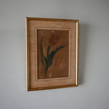 France Old Tulip Painting / フランス 古いチューリップの絵