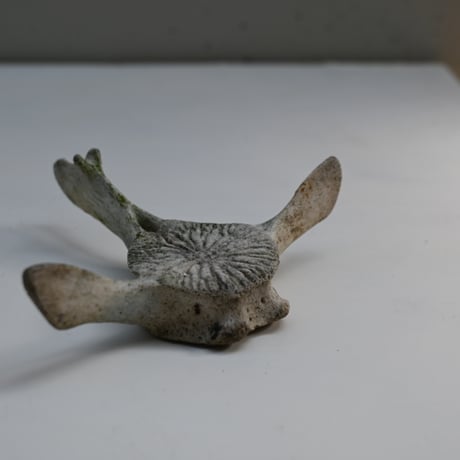 France Old Dolphin Bone Objet  / フランス 古いイルカの骨のオブジェ G