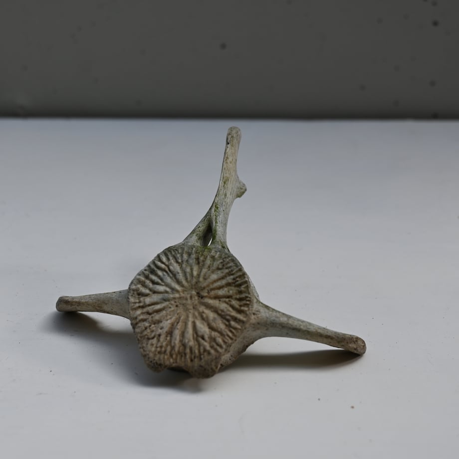 67b57e55117e1101be690cf3