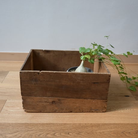 France Antiques Wood Box  /  フランス 古い木の箱 A-1