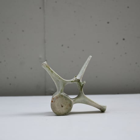 France Old Dolphin Bone Objet  / フランス 古いイルカの骨のオブジェ C