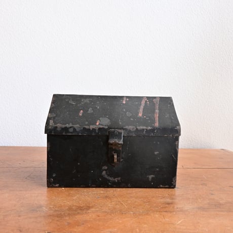 France Antique Iron Box  / フランス アンティーク 鉄の家のボックス