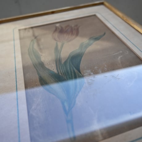 France Old Tulip Painting / フランス 古いチューリップの絵