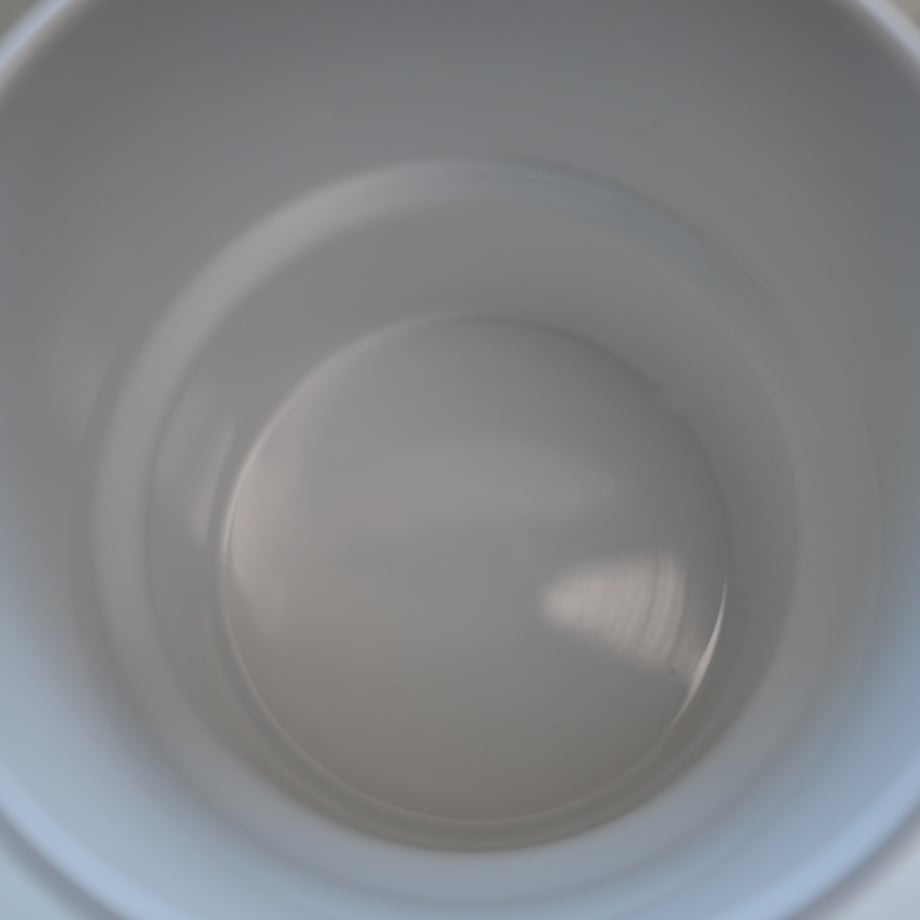 66c48f4ea3a20c04384f042e