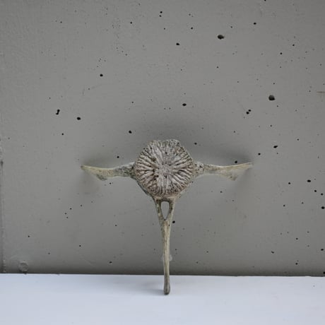 France Old Dolphin Bone Objet  / フランス 古いイルカの骨のオブジェ F