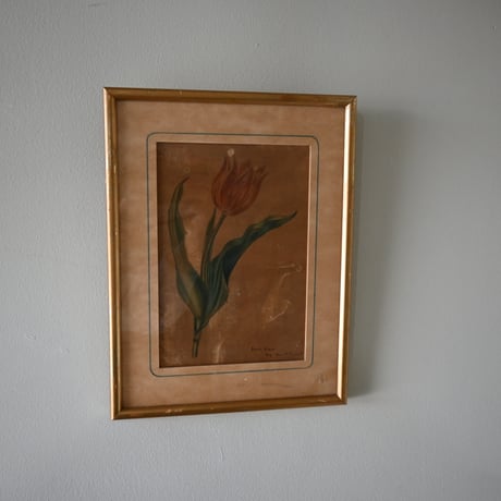 France Old Tulip Painting / フランス 古いチューリップの絵