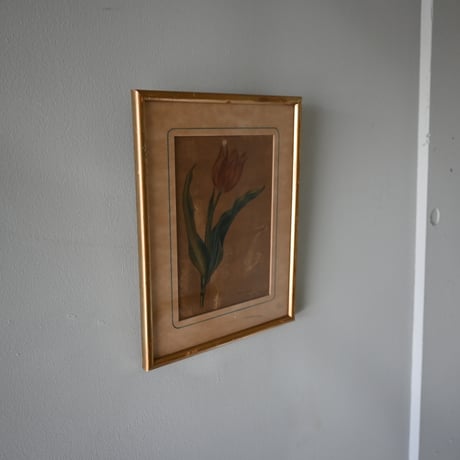 France Old Tulip Painting / フランス 古いチューリップの絵