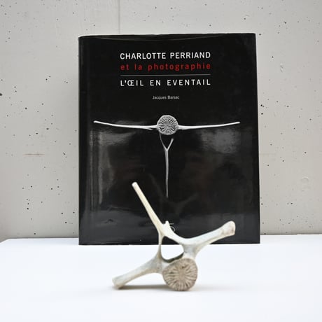 France Old Dolphin Bone Objet  / フランス 古いイルカの骨のオブジェ D
