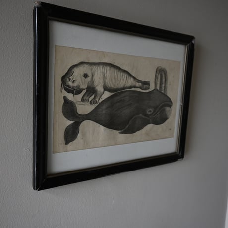 France Baleine Print / フランス クジラとセイウチの銅版画