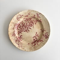 サマリテーヌ Samaritaine Colibri plate Jules Vieillard A