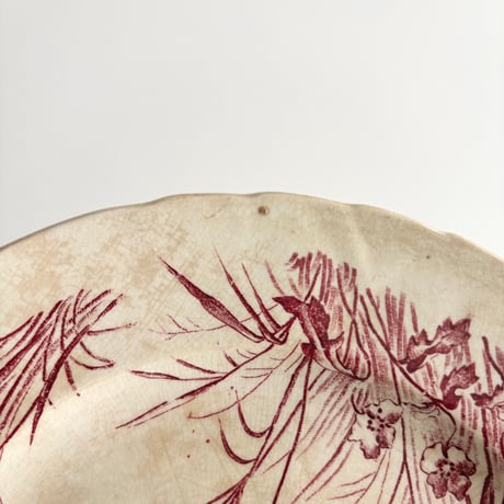 サマリテーヌ Samaritaine Colibri plate Jules Vieillard E