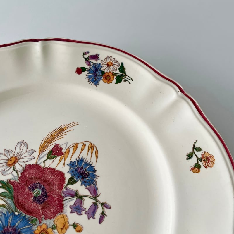 フランスアンティーク　サルグミンヌ　アグレスト　野花　皿　プレート　5枚セット サルグミンヌ Sarreguemines AGRESTE big plate 野花のプレート