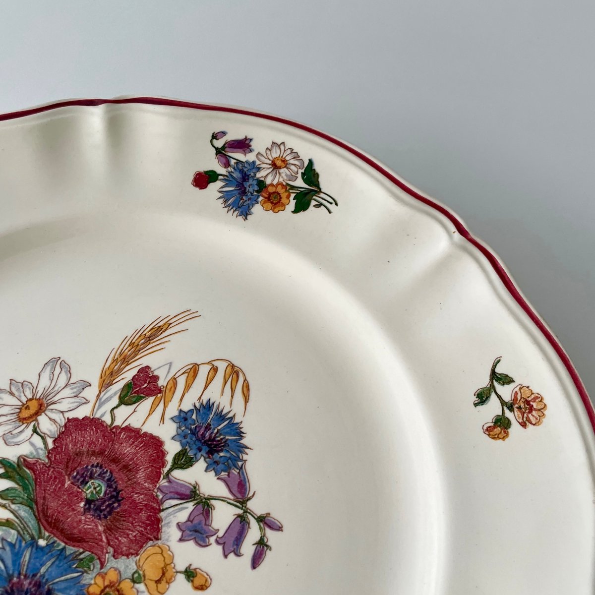 サルグミンヌ Sarreguemines AGRESTE big plate 野花のプレート