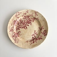 サマリテーヌ Samaritaine Colibri plate Jules Vieillard D
