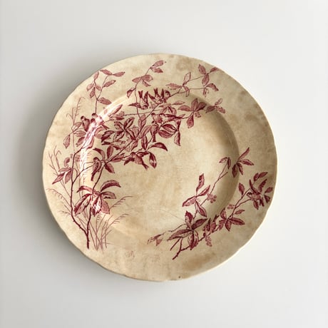 サマリテーヌ Samaritaine Colibri plate Jules Vieillard D