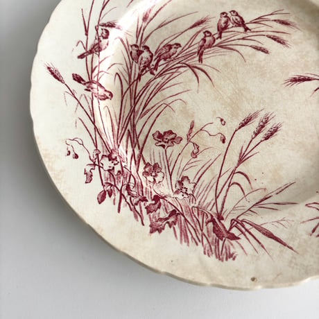 サマリテーヌ Samaritaine Colibri plate Jules Vieillard E