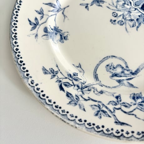 クレイユモントロー Creil et Montereau Perruche インコ プレート 平皿　デザート