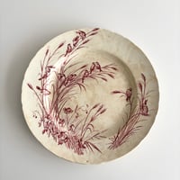 サマリテーヌ Samaritaine Colibri plate Jules Vieillard E